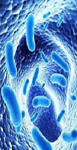 Bacteria